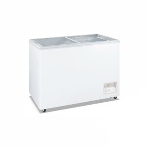 Heavy Duty Chest Freezer with Glass Sliding Lids - WD-300F